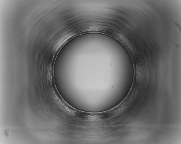 X0000101190794200807071313