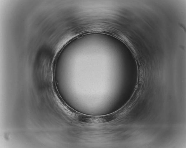 X0000101190795200807071313
