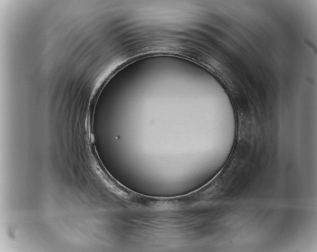 X0000101190796200807071313