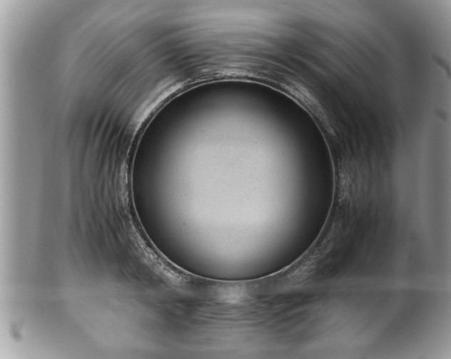 X0000101190798200807071313
