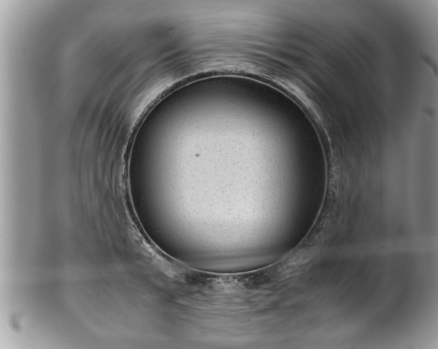 X0000101190799200807071313
