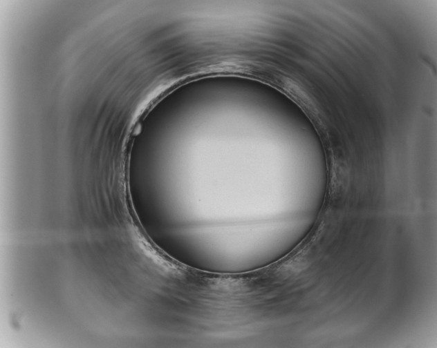 X0000101190800200807071313