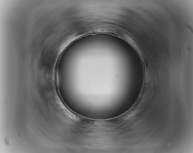 X0000101190803200807071313