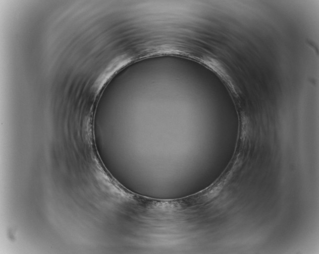 X0000101190806200807071313