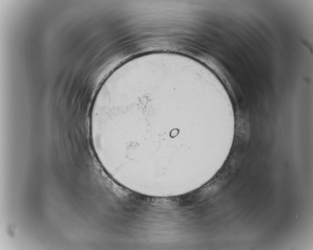 X0000101190807200807071313