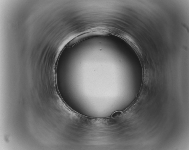 X0000101190808200807071313