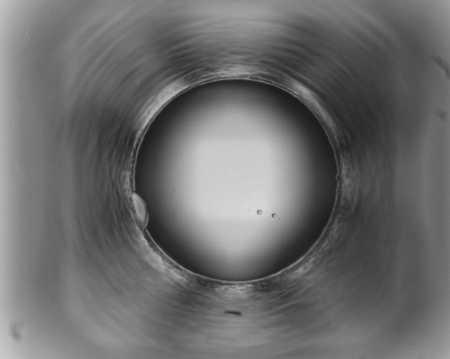 X0000101190810200807071313