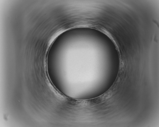 X0000101190811200807071313