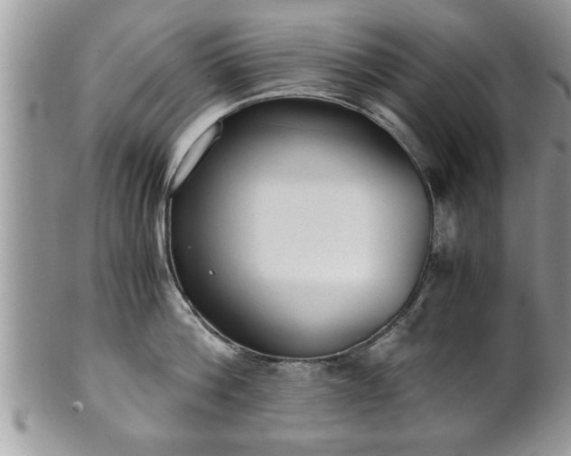X0000101190812200807071313