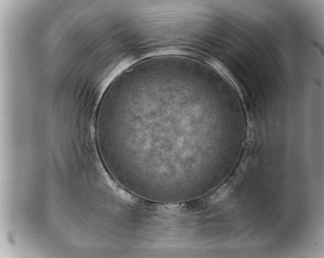 X0000101190813200807071313