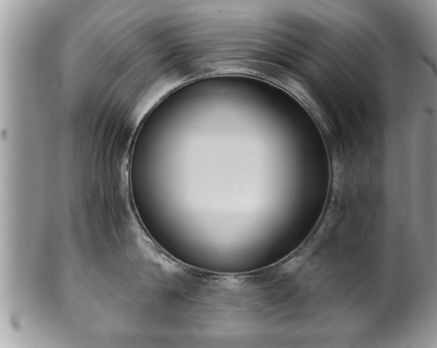 X0000101190814200807071313
