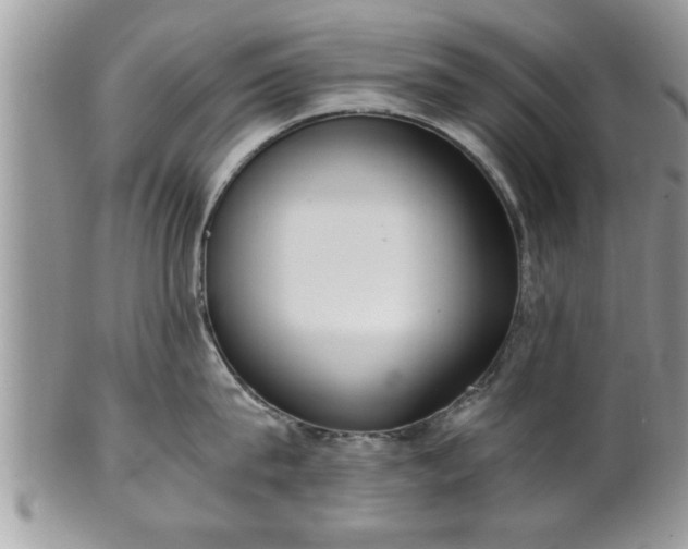 X0000101190815200807071313