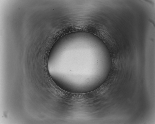 X0000101190817200807071312