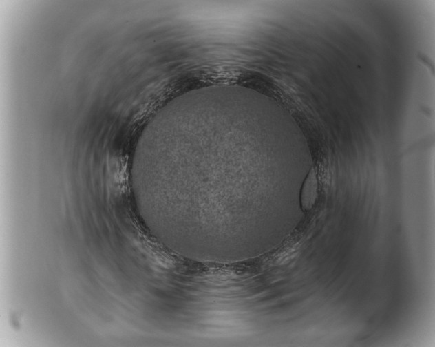 X0000101190818200807071312
