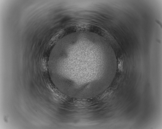 X0000101190819200807071312