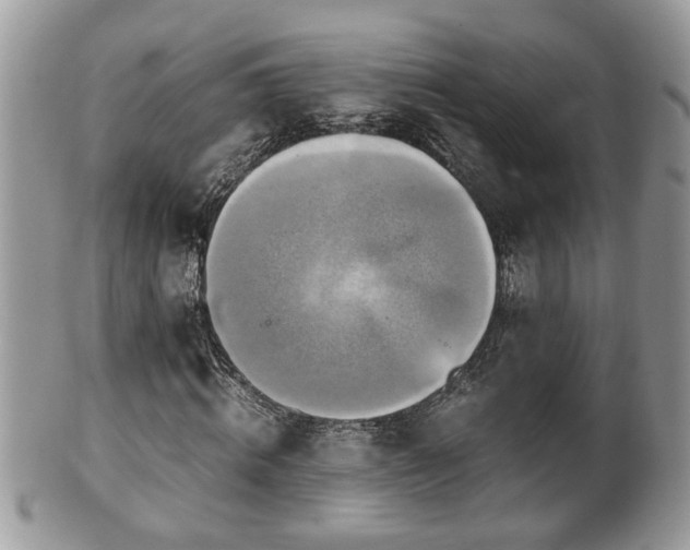X0000101190820200807071312