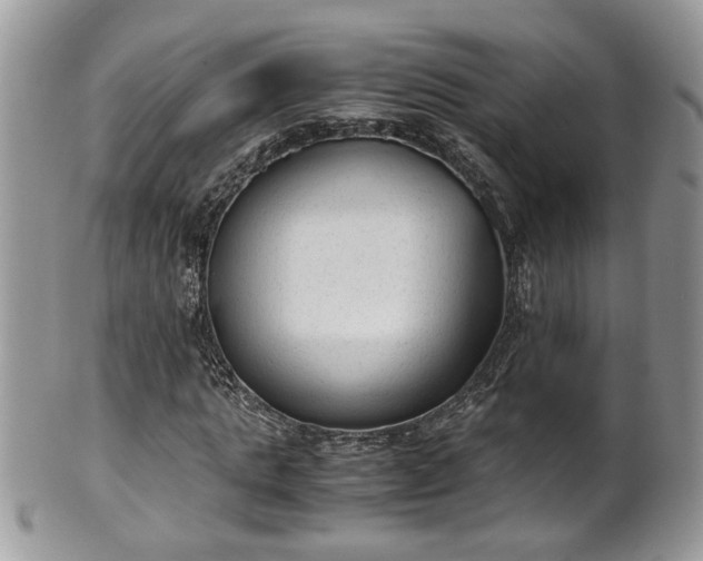X0000101190821200807071312