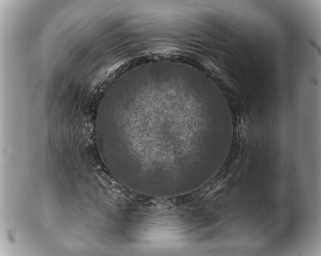 X0000101190822200807071312