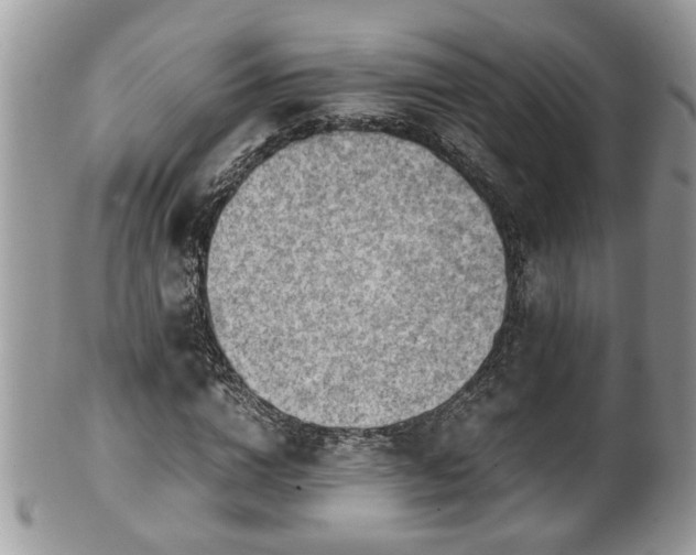 X0000101190824200807071312
