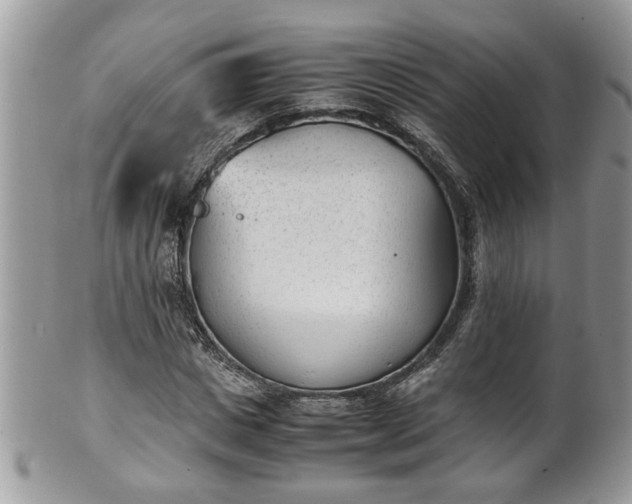 X0000101190825200807071312