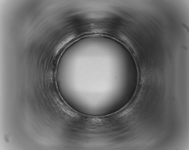 X0000101190827200807071312