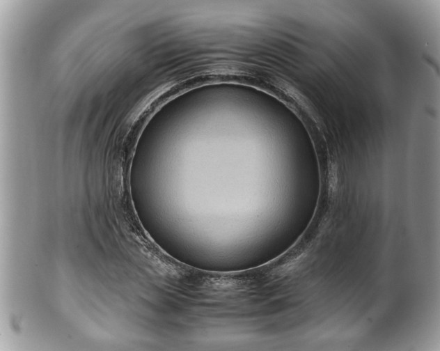 X0000101190829200807071312