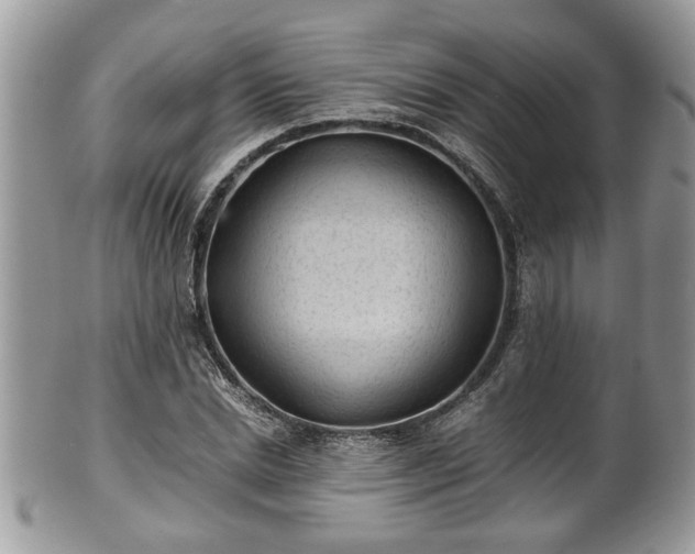 X0000101190830200807071312