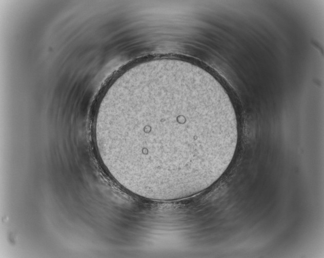 X0000101190832200807071312
