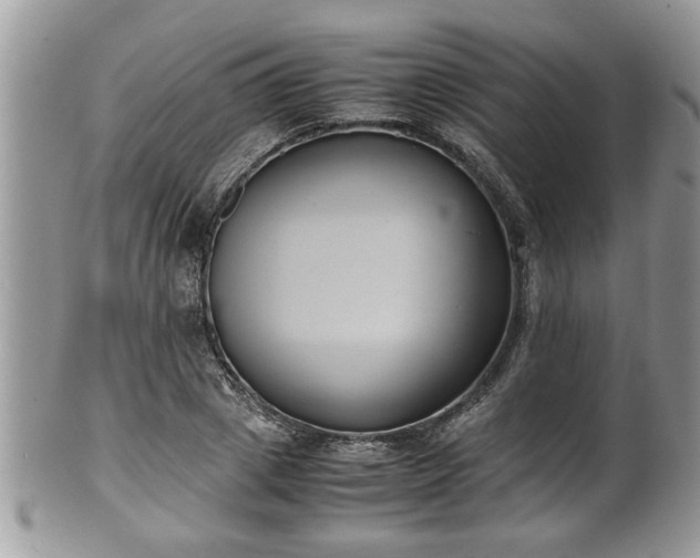 X0000101190833200807071312