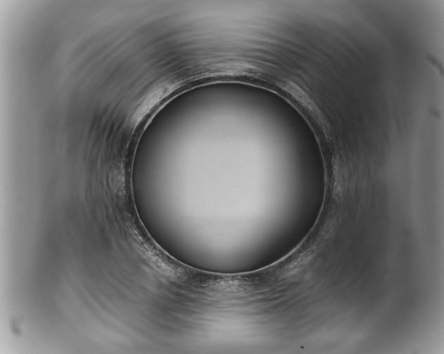 X0000101190834200807071312