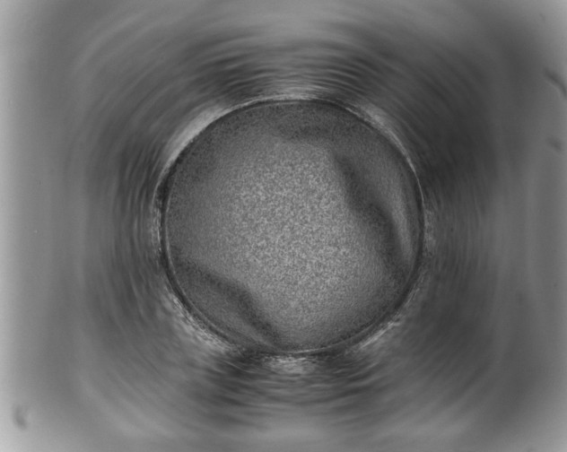 X0000101190835200807071312