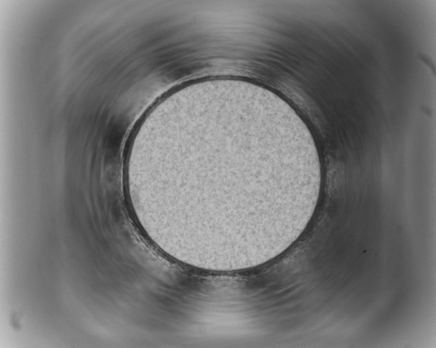 X0000101190836200807071312