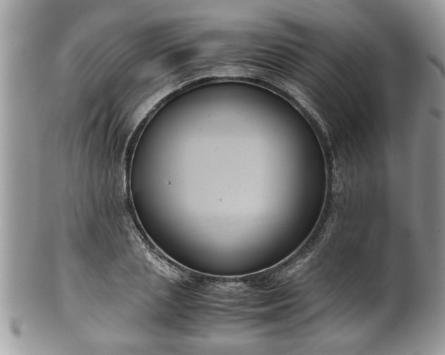 X0000101190837200807071312