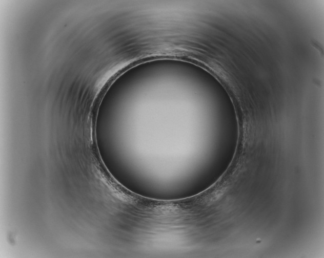 X0000101190838200807071312
