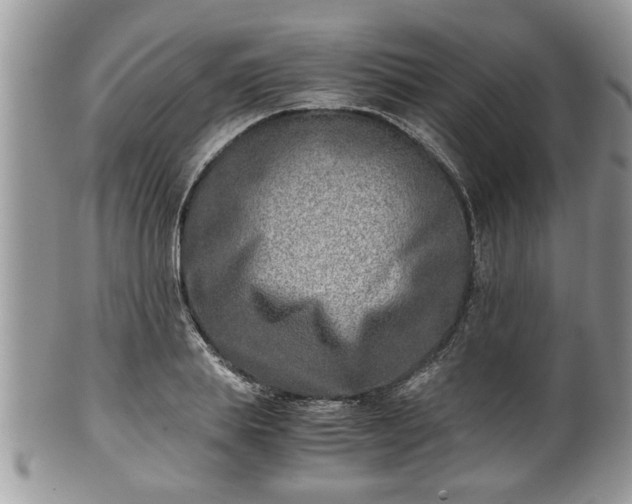 X0000101190839200807071312