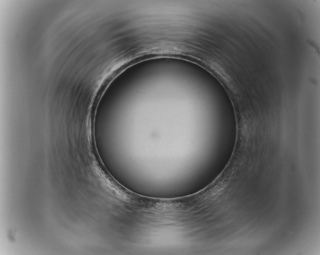 X0000101190840200807071312