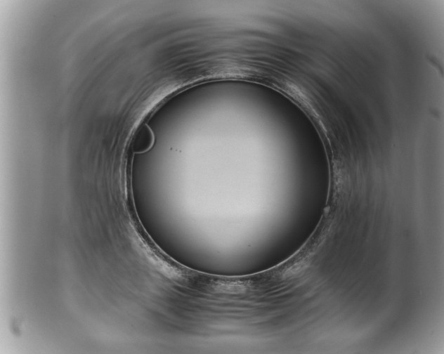 X0000101190843200807071312