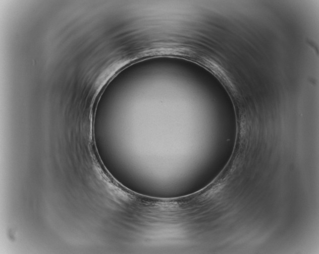 X0000101190844200807071312