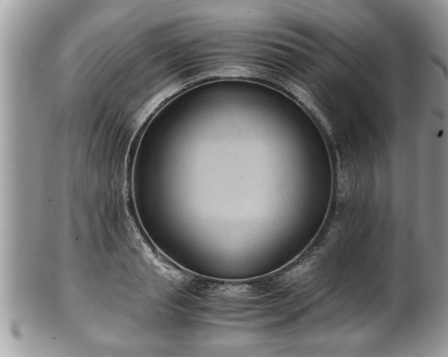 X0000101190845200807071312