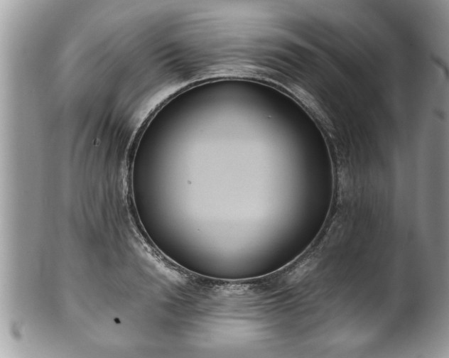 X0000101190846200807071312
