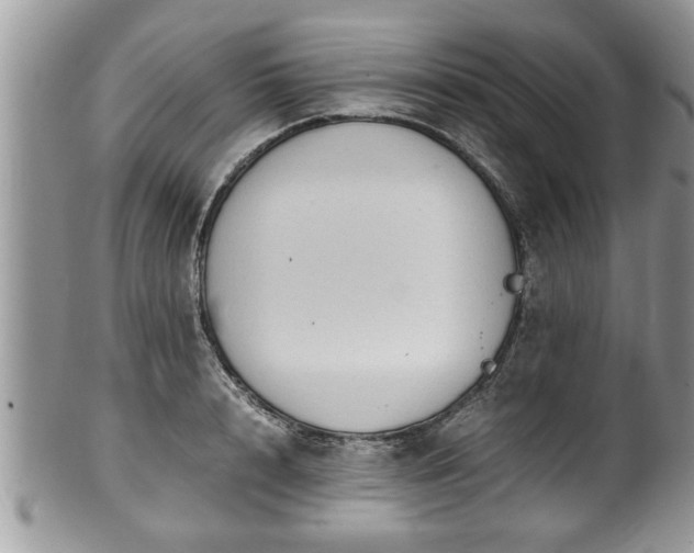 X0000101190848200807071313