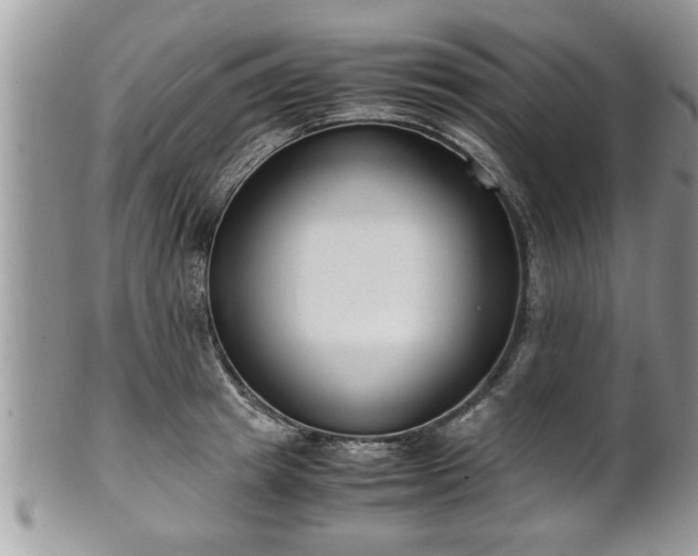 X0000101190849200807071313