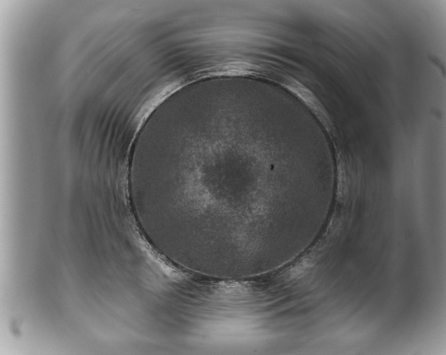 X0000101190850200807071313