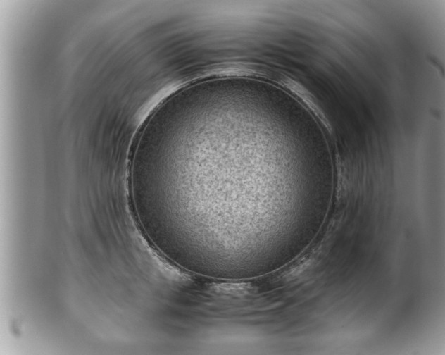 X0000101190853200807071313