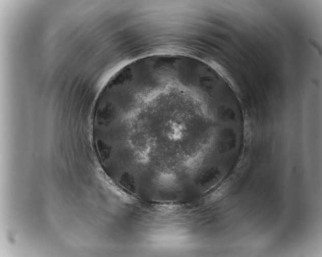 X0000101190854200807071313