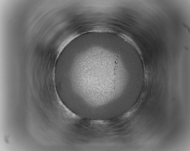 X0000101190855200807071313