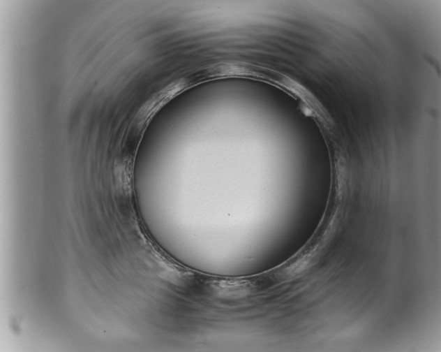 X0000101190857200807071313