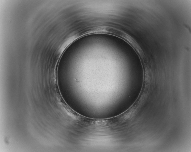 X0000101190858200807071313