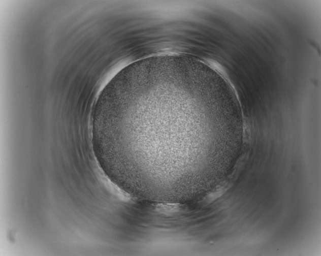 X0000101190859200807071313