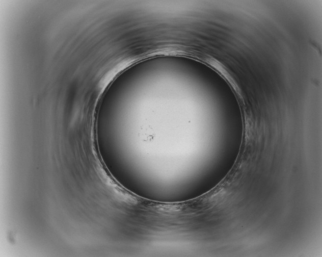 X0000101190861200807071313